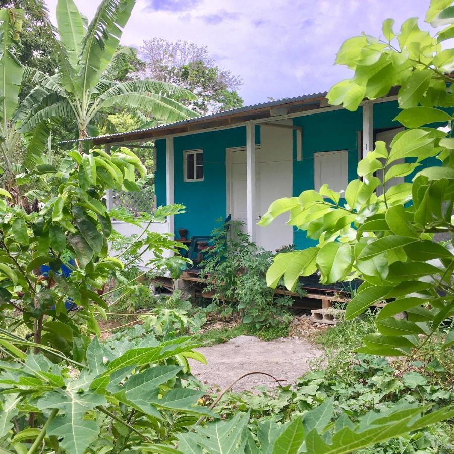 Easymans' Winifred Beach Chalets Port Antonio Buitenkant foto