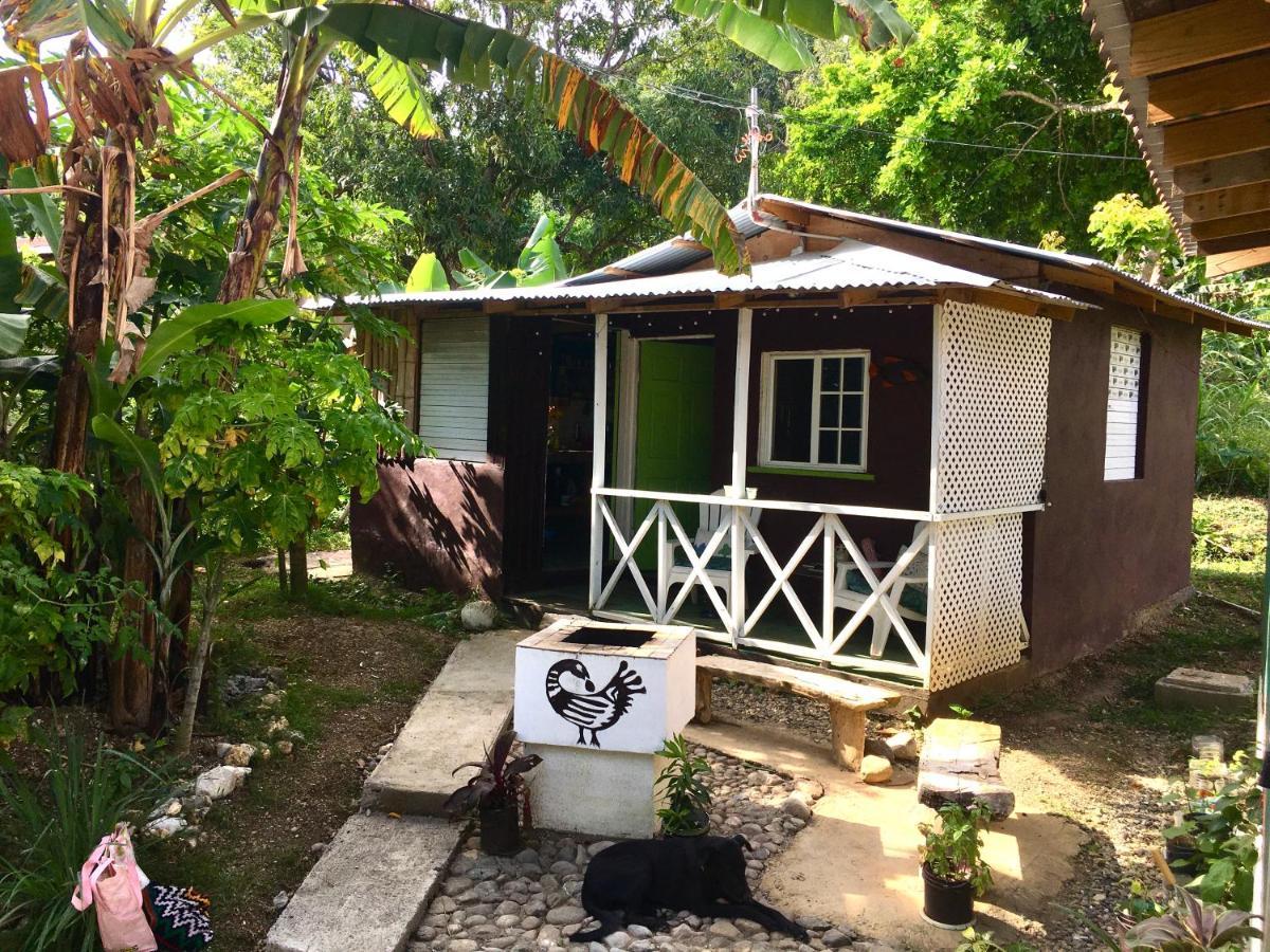 Easymans' Winifred Beach Chalets Port Antonio Buitenkant foto